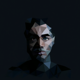 low poly dark portrait